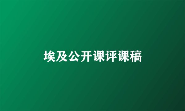 埃及公开课评课稿