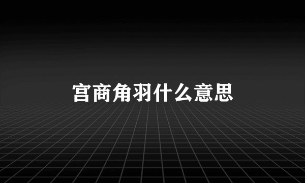 宫商角羽什么意思