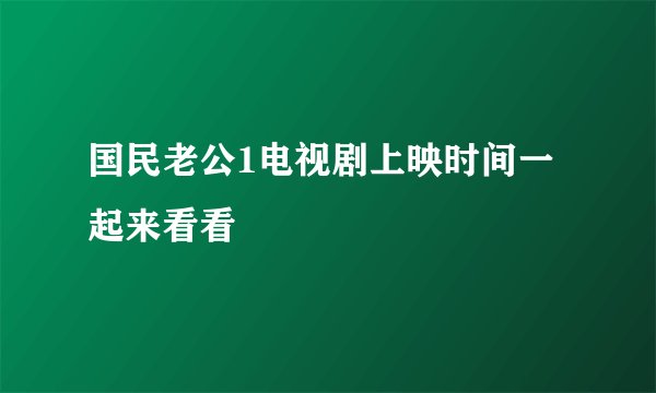 国民老公1电视剧上映时间一起来看看