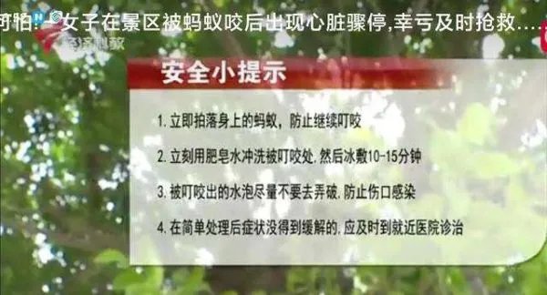 女子景区被蚂蚁咬伤晕厥,该不该找景区索赔?