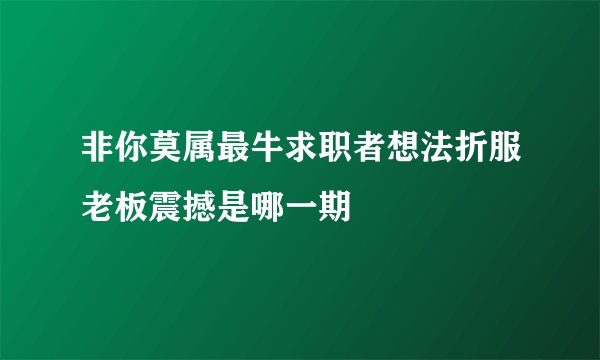 非你莫属最牛求职者想法折服老板震撼是哪一期