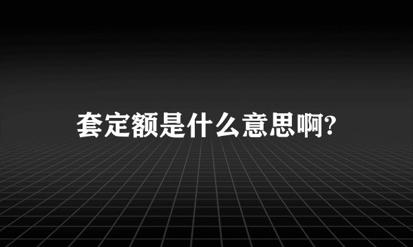 套定额是什么意思啊?