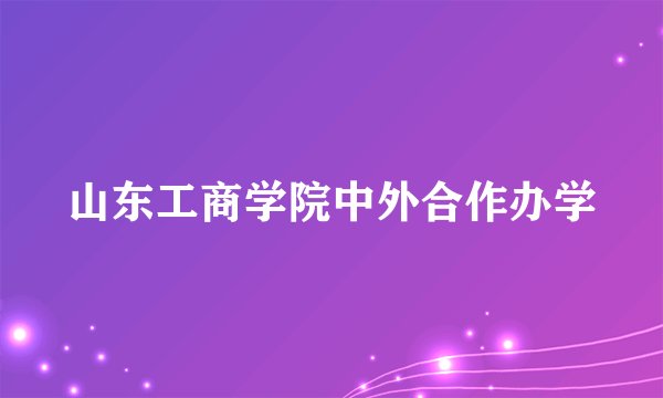 山东工商学院中外合作办学