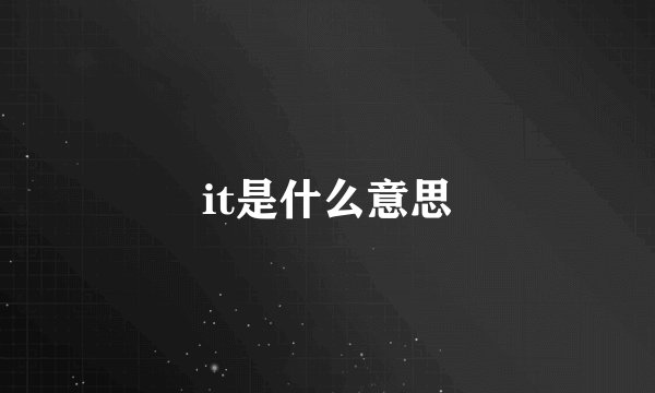 it是什么意思