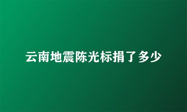 云南地震陈光标捐了多少