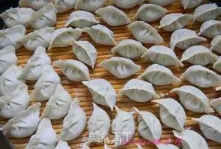 茴香馅饺子