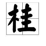 桂组词有哪些?