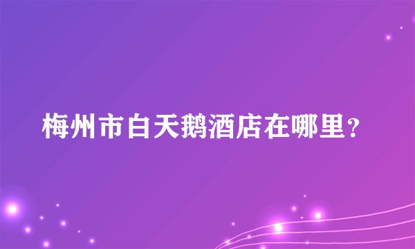 梅州市白天鹅酒店在哪里？