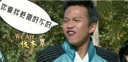 邓超在奔跑吧兄弟里面说“伐木累”，被广泛流传，到底是什么意思啊？