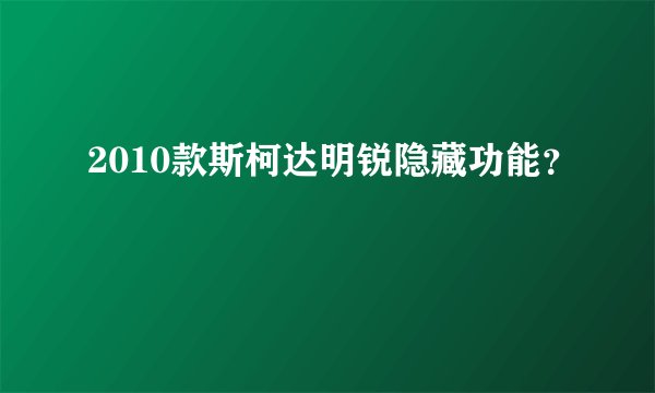 2010款斯柯达明锐隐藏功能？