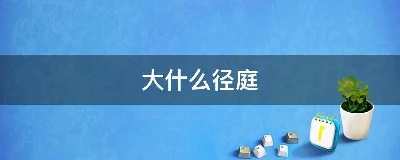 大什么径庭