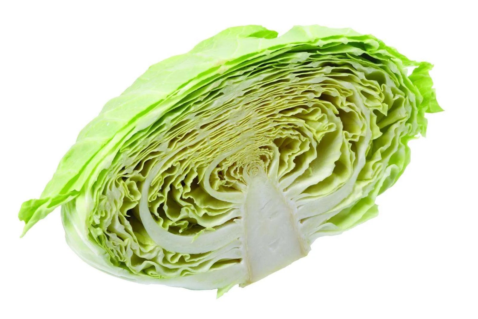 卷心菜图片鉴赏 卷心菜具有哪些功效与作用