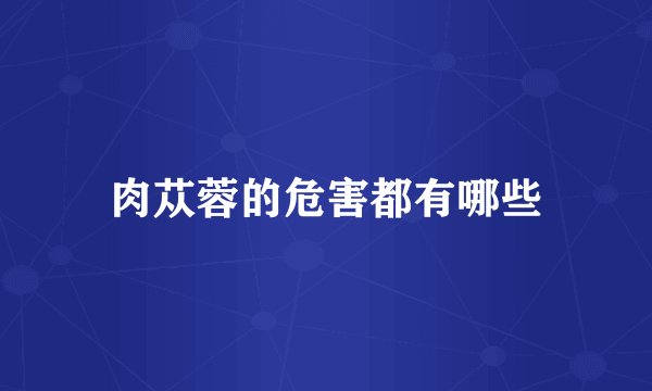 肉苁蓉的危害都有哪些