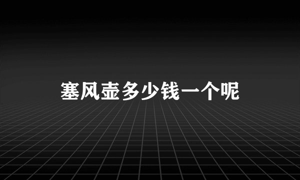 塞风壶多少钱一个呢