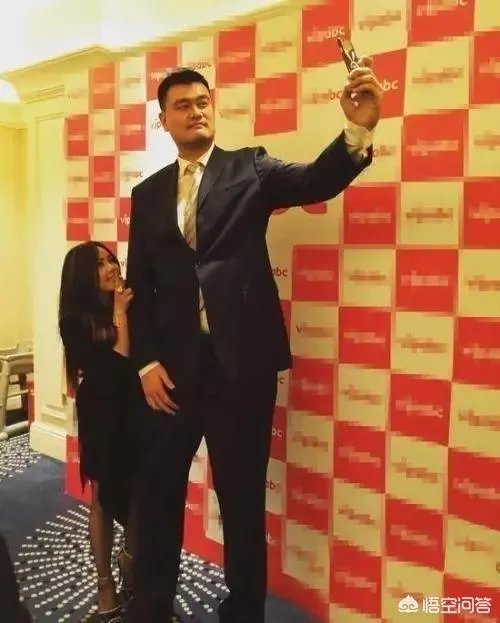 你觉得NBA球星和姚明一起合影会是什么效果?