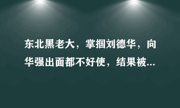 东北黑老大,掌掴刘德华,向华强出面都不好使,结果被赵本山摆平