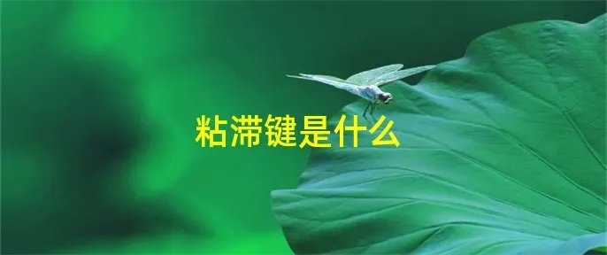粘滞键是什么