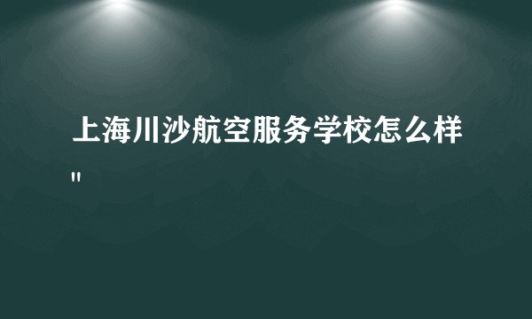 上海川沙航空服务学校怎么样