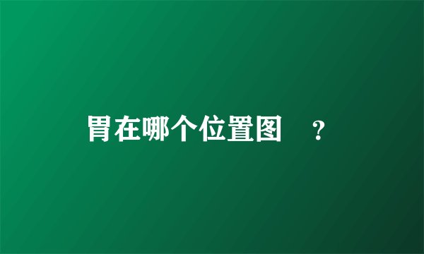 胃在哪个位置图	？