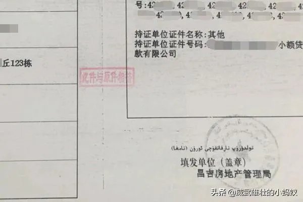 质押他项权利证书