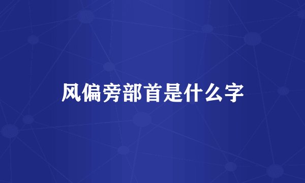 风偏旁部首是什么字
