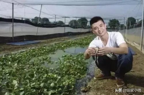 为什么三分之二的年轻人不愿意回农村了?
