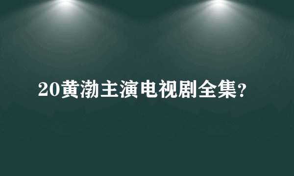 20黄渤主演电视剧全集？