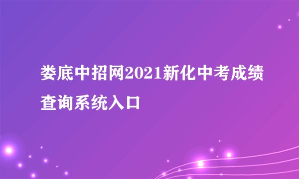 娄底中招网2021新化中考成绩查询系统入口