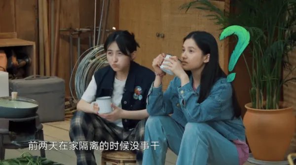 如何看待陶虹在《向往的生活》中只吃素食?