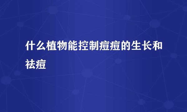 什么植物能控制痘痘的生长和祛痘