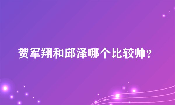 贺军翔和邱泽哪个比较帅？