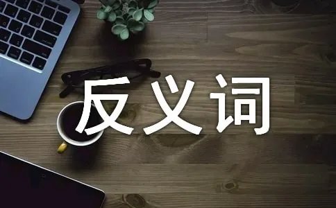 沮丧的反义词是什么?