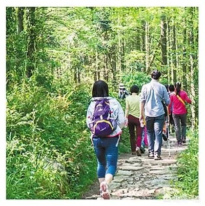 女子为步数排行每天暴走万步,3个月后膝盖出问题,你怎么看待这种问题?