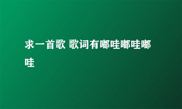 求一首歌 歌词有嘟哇嘟哇嘟哇