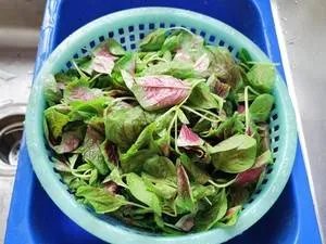 米苋怎么炒