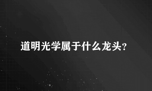 道明光学属于什么龙头？