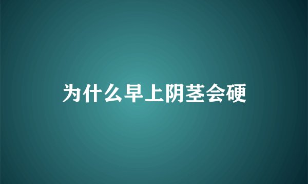 为什么早上阴茎会硬