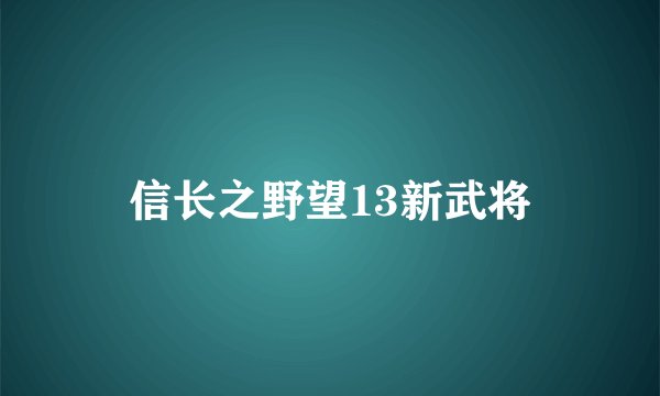 信长之野望13新武将