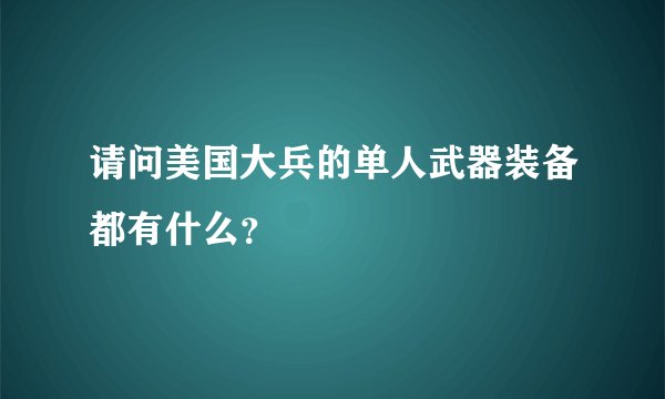 请问美国大兵的单人武器装备都有什么？