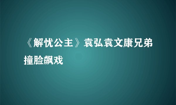《解忧公主》袁弘袁文康兄弟撞脸飙戏