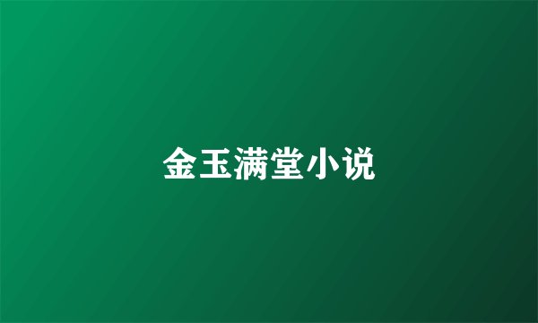 金玉满堂小说