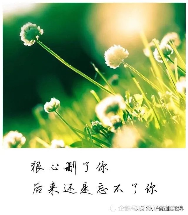 友情和爱情哪个更重要?