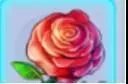 《桃花源记》桃花攻略|我是一名专职采花的采花贼