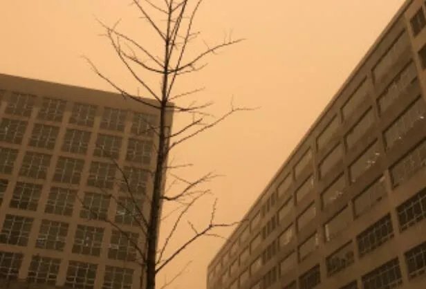 北京沙尘暴原因是什么 北京沙尘暴是怎么引起的