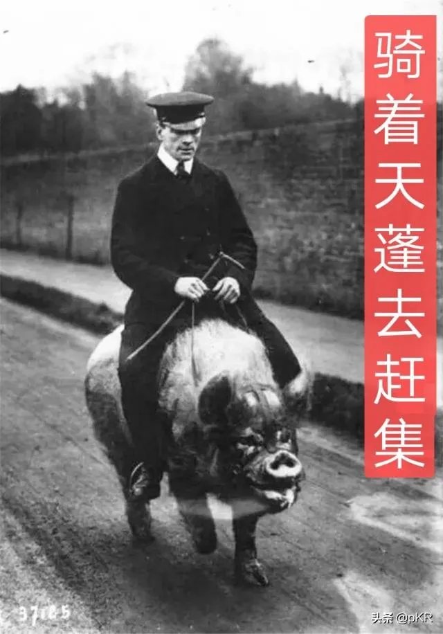 藏品在家不拿出去能私下交易吗?怎样才能把藏品卖出去?