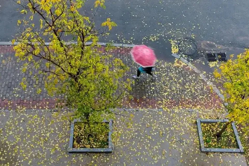 一场秋雨一场寒下一句 一场秋雨一场寒上一句