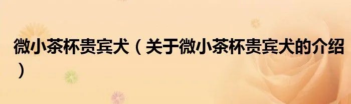 微小茶杯贵宾犬(关于微小茶杯贵宾犬的介绍)