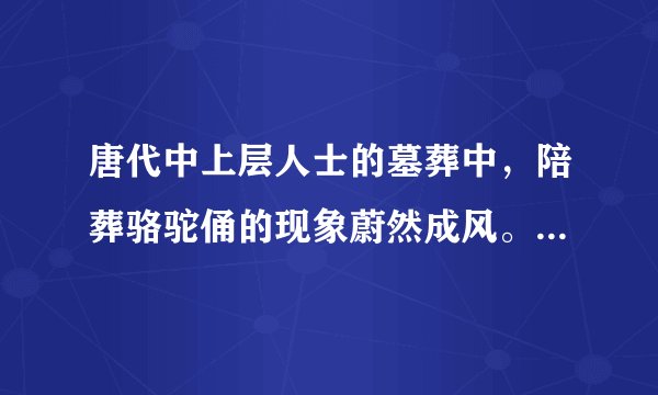 唐代中上层人士的墓葬中，陪葬骆驼俑的现象蔚然成风。许多陶骆驼背上驮着丝绸，驭手几乎都是表情各异的胡人，做工精美异常。由此可见，唐代（　　）A.社会贫富差距悬殊B.对外交流影响社会习俗C.民间手工业很发达D.中外经济文化交流频繁