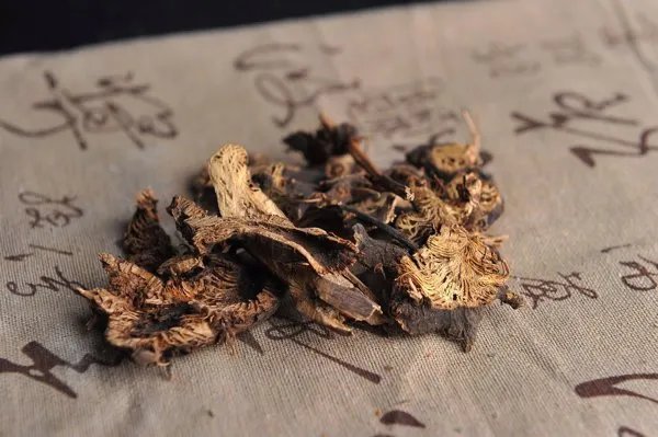关脉在哪里