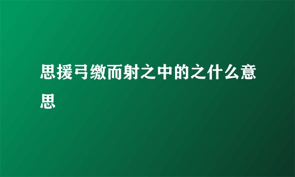 思援弓缴而射之中的之什么意思